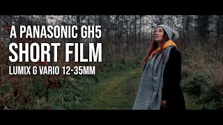 CINEMATIC FOOTAGE  Panasonic GH5  LUMIX 1235mm f28 MFT [upl. by Johanan779]