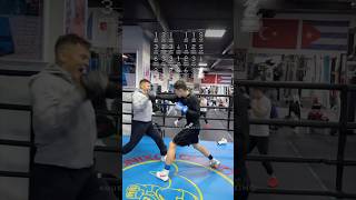 Try This 23PUNCH Boxing Combo 🥊 [upl. by Gone]