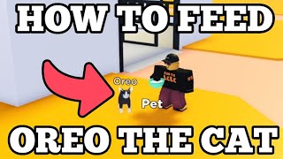 How to feed OREO the CAT in Horse Valley 2 ROBLOX [upl. by Nylorak]