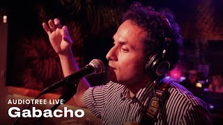 Gabacho  Shulaguapa  Audiotree Live [upl. by Ferren142]