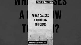 What causes a Rainbow to Form [upl. by Eelac]