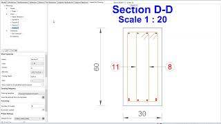 RC modules on Advance Design  RC Design to detailing [upl. by Darbie]