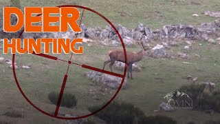 Deer hunting in Spain  2015 Chasse Cerf Approche [upl. by Lehsar]