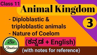 in Kannada Class 11Animal KingdomPart 3  Diploblastic amp Triploblastic animals Nature of Coelom [upl. by Ned540]