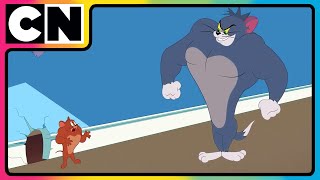 Tom amp Jerry 😺🐭 Just Cat amp Mouse Things  tomandjerry  Funny Cartoons  cnindia [upl. by Randell938]