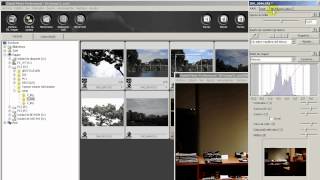 Tutorial Canon DPP en 20 minutos 33 [upl. by Cyb]