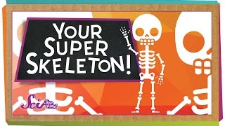 Your Super Skeleton [upl. by Nnyleimaj]