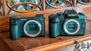 Micro Four Thirds vs APSC Crop Sensor Comparison [upl. by Wally272]