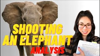 English Prof Explains What the Elephant Symbolizes in Orwells quotShooting An Elephantquot 🐘 Analysis [upl. by Okime]