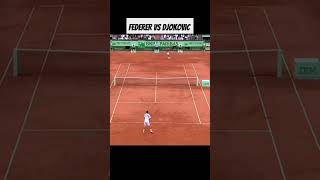 tennis sports Federer vs Djokovic 🥎💯👍😱 [upl. by Nickey]