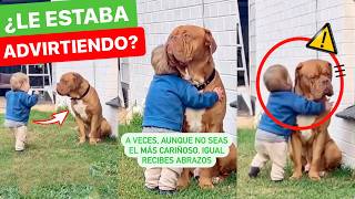 NIÑO ABRAZA a un poderoso DOGO y MIRA lo que pasó 😱 [upl. by Blithe812]