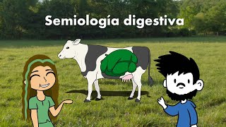 Semiología digestiva en rumiantes [upl. by Harvie]