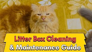 Complete Litter Box Care Cleaning Washing amp Maintenance Tips  How to clean cat litter tray  box [upl. by Levison]