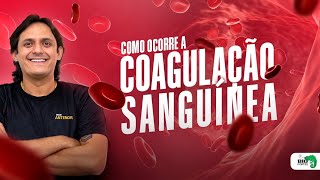 Como ocorre a coagulação sanguínea [upl. by Asssilem995]