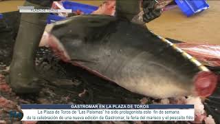 Una nueva edición de Gastromar la feria del marisco y el pescaíto frito [upl. by Frasier]