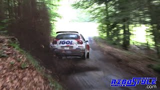 Rallye Vosges Grand EST 2024 By Rigostyle [upl. by Elfie]