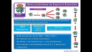 recomendaciones para el manejo de Microorganismos blee [upl. by Ahtibat]