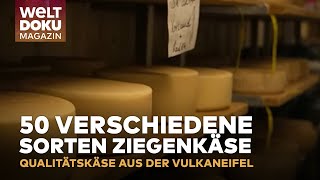 VULKANHOF GILLENFELD Handgefertigter Ziegenkäse überzeugt mit Qualität  WELT Doku Nachrichten [upl. by Clere]