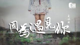 夏婉安  因為遇見你『我一次次地失眠輾轉反。』【動態歌詞Lyrics】 [upl. by Selmore10]