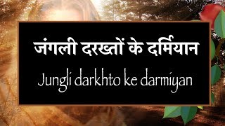 जंगली दरख्तों के दर्मियान Jungli darkhto ke darmiyan [upl. by Tnelc]