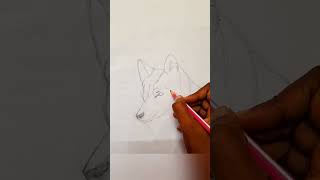 FOX Drawing easy arttrending Shorts [upl. by Quentin403]