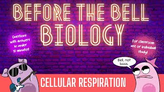 Cellular Respiration Before the Bell Biology [upl. by Enylorac425]