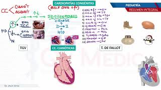 Pediatría  Cardiopatias congenitas cianoticas [upl. by Richy]