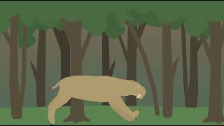 smilodon vs gigantopithecus [upl. by Karolyn]