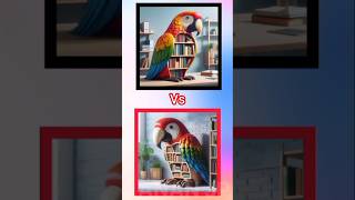 Newbookshelf parrots short like pens❤🥰which one would you choose [upl. by Blakelee]