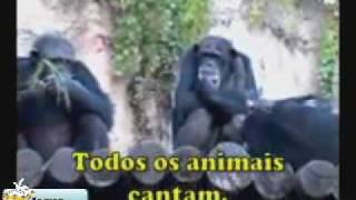 TODOS OS ANIMAIS CANTAM [upl. by Oicnerolf]