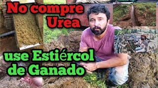 No compre Urea use Estiércol de su ganado [upl. by Aciretehs396]