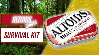 32 Piece Altoids Smalls Survival Kit 2022 Micro Survival Kit [upl. by Nylg]