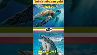 Tebaktebakan part10tebaktebakanedukasiquiz [upl. by Aisatsanna]