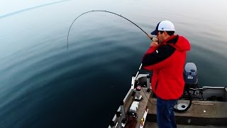 Salmon amp Lake Trout Jigging Technique [upl. by Aaberg]