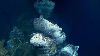 Geology and Biology of the MidAtlantic Ocean Ridge [upl. by Whatley924]