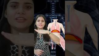 Mechanism of breathing in 50secondsBreathing and exchange of gases neet2025 shorts respiration [upl. by Lib]