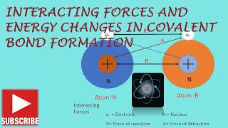 Interacting Forces And Energy Changes In Covalent Bond Formation [upl. by Dominga]