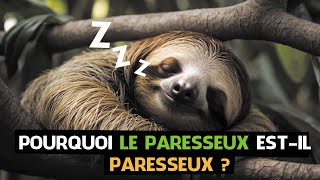 🤔 Pourquoi Le Paresseux EstIl Vraiment Paresseux  🦥 [upl. by Atelahs]