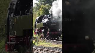 Öffentliche Führerstandsmitfahrten auf 86 17441 in Wittenberge 🚂 [upl. by Enelia]