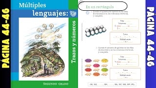 Múltiples lenguajes trazos y números página 4446 │En un rectángulo [upl. by Maxia]