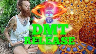 How to Release DMT through Meditation ancient yogic technique [upl. by Ayalat]