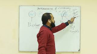 interleukins and cytokines high yields [upl. by Lose]