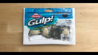 Berkley Gulp Peeler Crab Pros and Cons [upl. by Aruat]