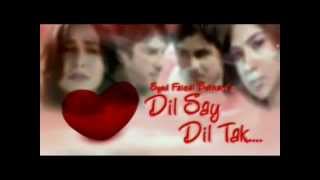 Dilse dil tak PTV home drama Official song SHAAKII [upl. by Sunda720]