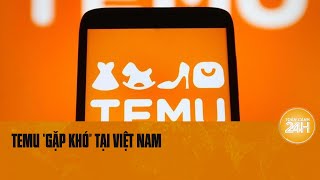 Temu quotđổ bộquot Việt Nam Thủ tục hải quan ra sao  Toàn cảnh 24h [upl. by Vish988]