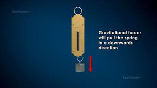 Physics  Grade 8 amp 9 IG  Week 11  Spring Scale Hookes Law [upl. by Fairweather]