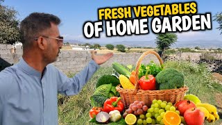 Fresh Vegetables Of Home Garden  Ghar Ke Bagh Ki Taza Sabziyan  Village Life Of Khadimabad [upl. by Babbette]