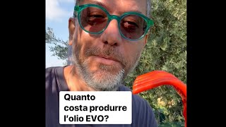 Quanto costa produrre l’olio extravergine di oliva ￼danielepaci agronomo EVO olio costo tips [upl. by Laeahcim]