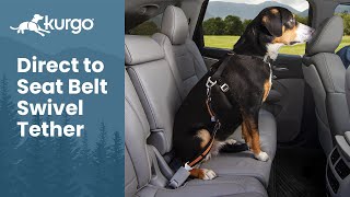 The Direct to Seatbelt Swivel Tether  Tanglefree seatbelt for dogs [upl. by Dnyletak430]