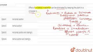 Effect of unilateral irradiation can be eliminated by keeping the plant in a clinostat in [upl. by Worth]